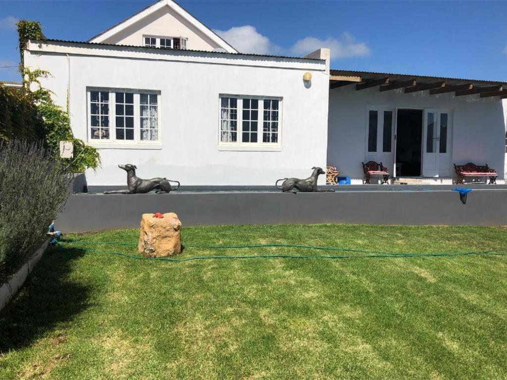 De La Fontaine Sea View Suite Plettenberg Bay Exterior foto